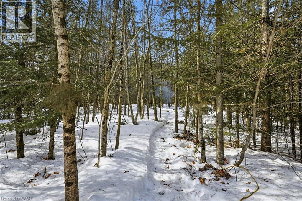 2516 Irish Line, Coldwater, Ontario  L0K 1E0 - Photo 44 - 40827016