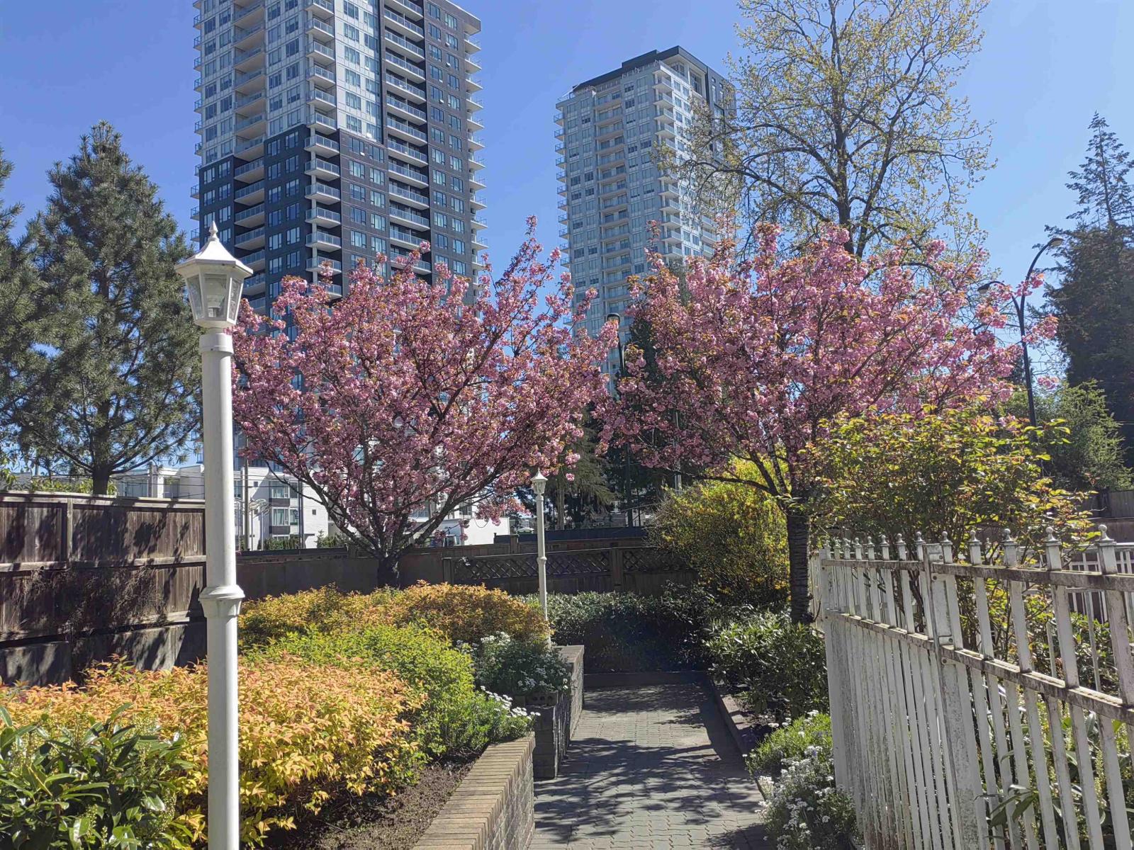 311 10128 132 Street, Surrey, British Columbia  V3T 3T5 - Photo 28 - R3119123