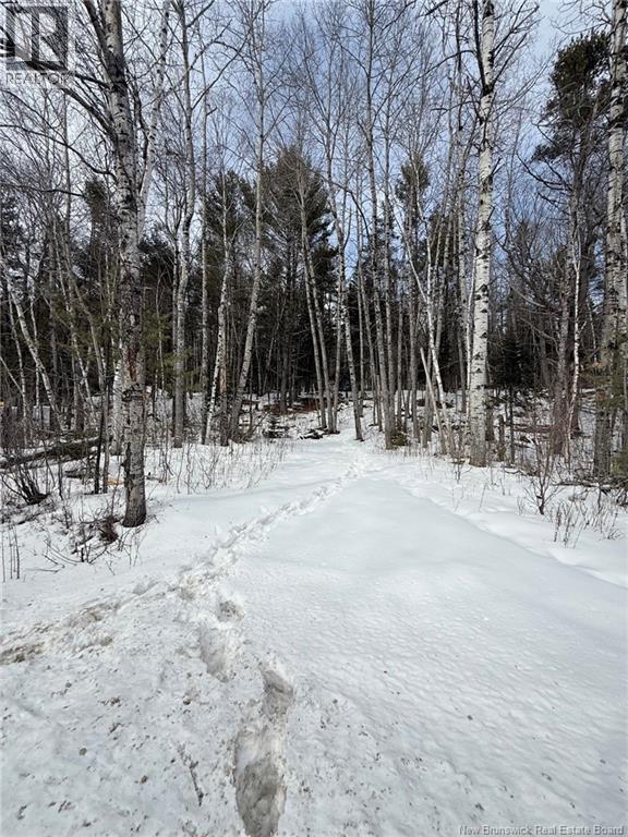 3311 Route 625, Boiestown, New Brunswick  E6A 1E9 - Photo 13 - NB138721