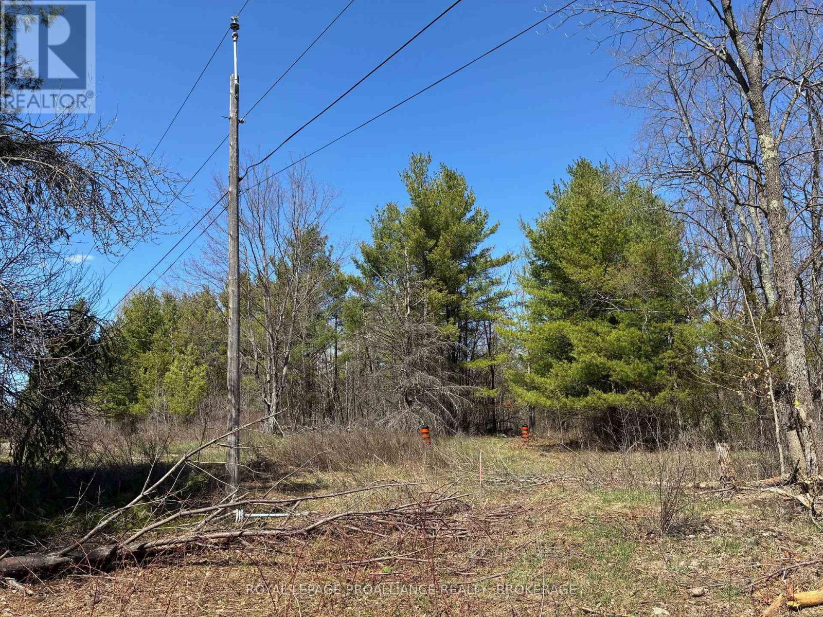 Lot 4 Leveque Road, South Frontenac, Ontario  K0H 2W0 - Photo 9 - X13086008