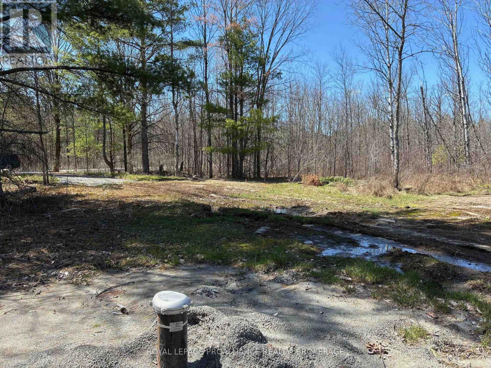 Lot 3 Leveque Road, Frontenac, Ontario  K0H 2W0 - Photo 4 - X13086016
