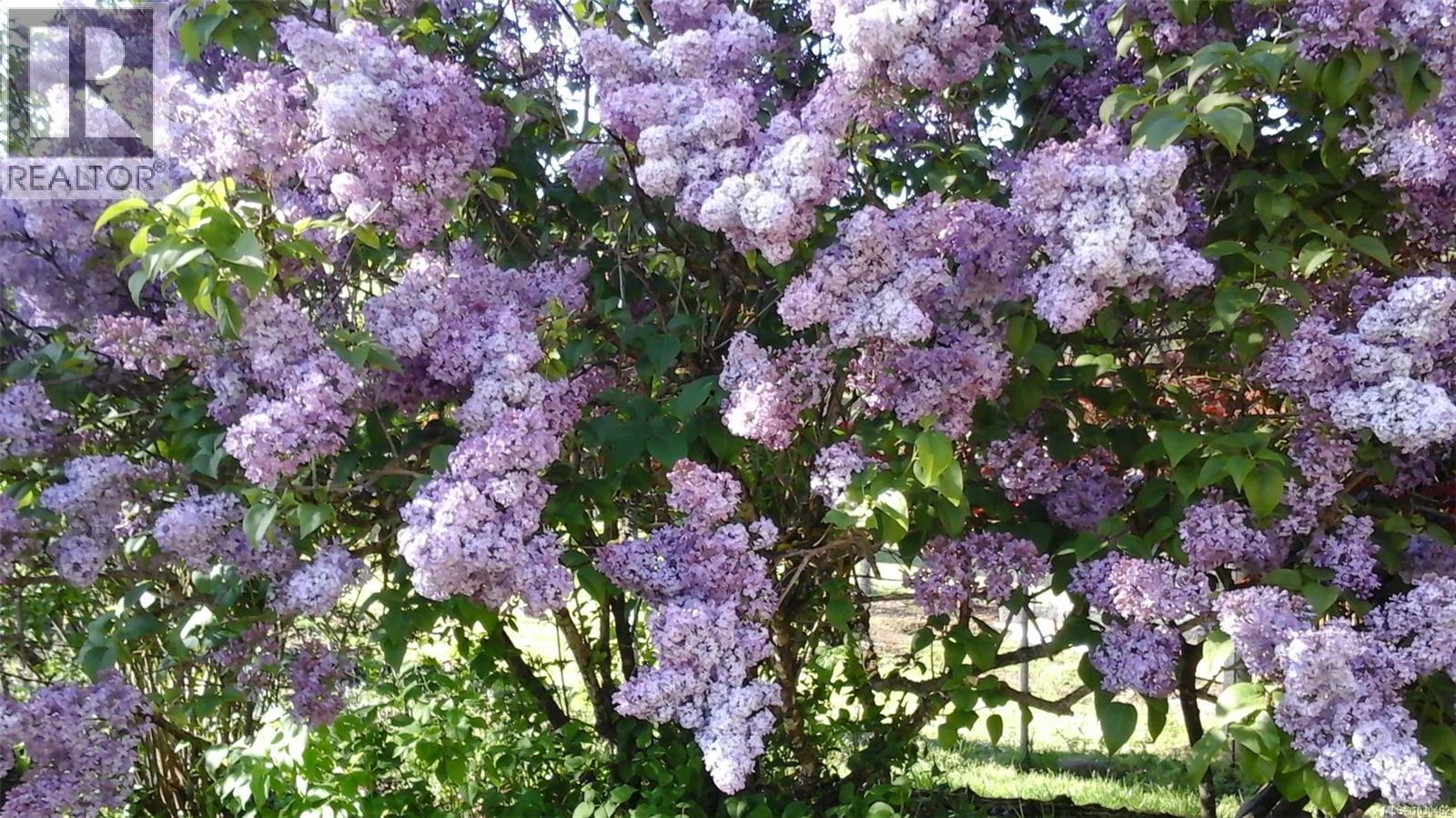 picture 31