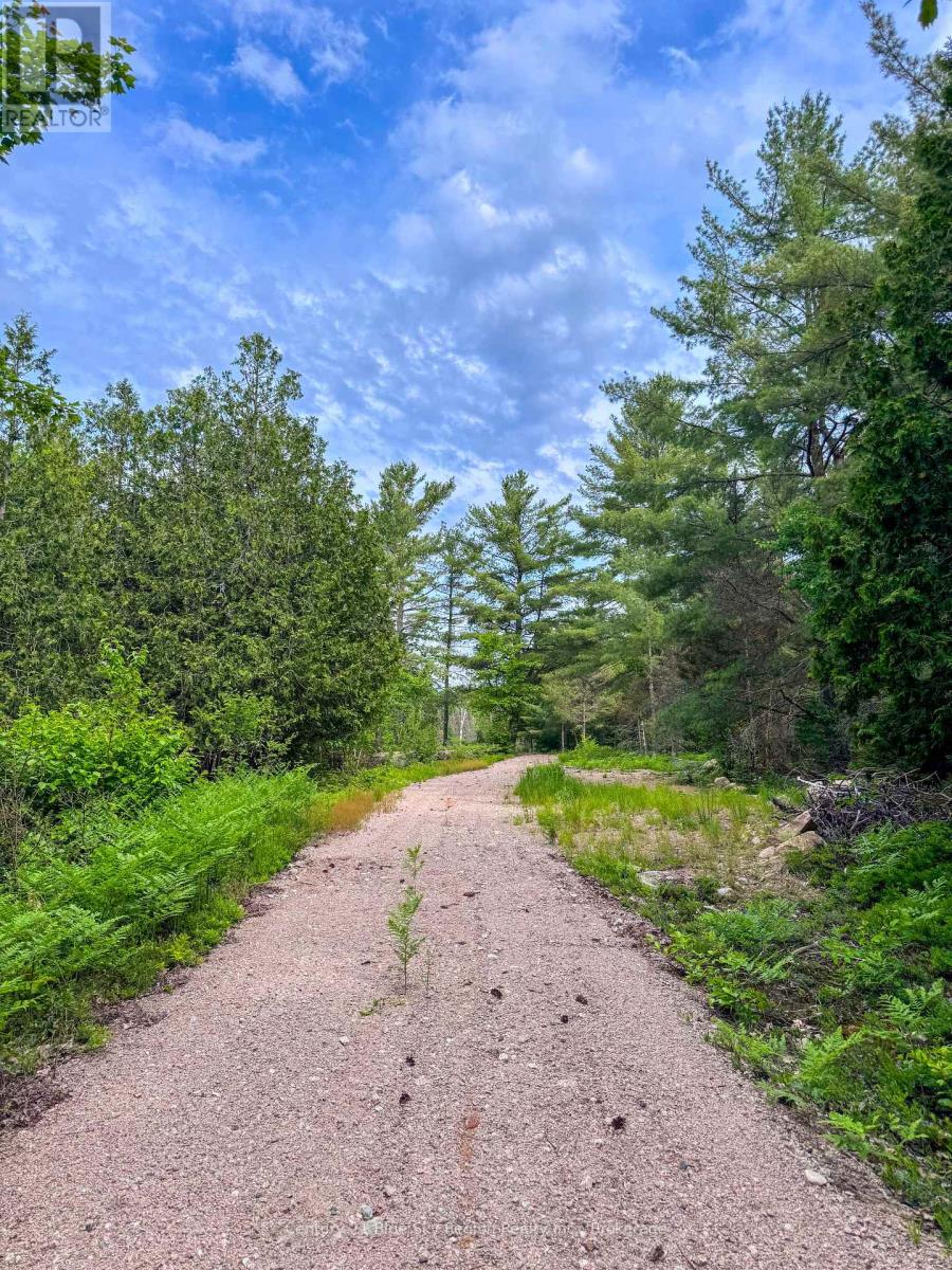 Pt Lt 10 Highway 531, Bonfield, Ontario  P0H 1E0 - Photo 10 - X13086056