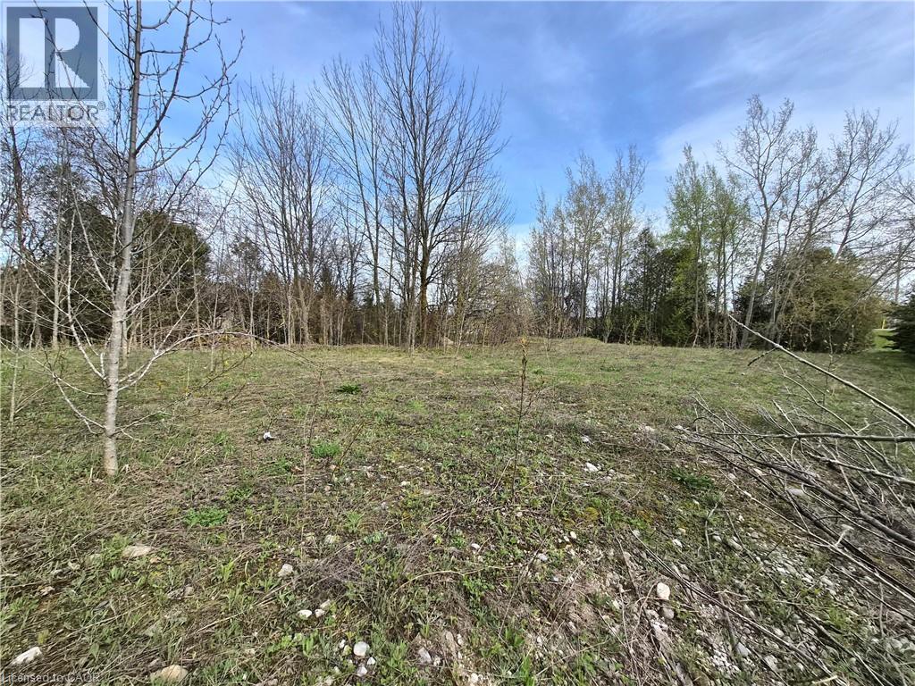 5618 5th Line, Palmerston, Ontario  N0G 2P0 - Photo 7 - 40826592