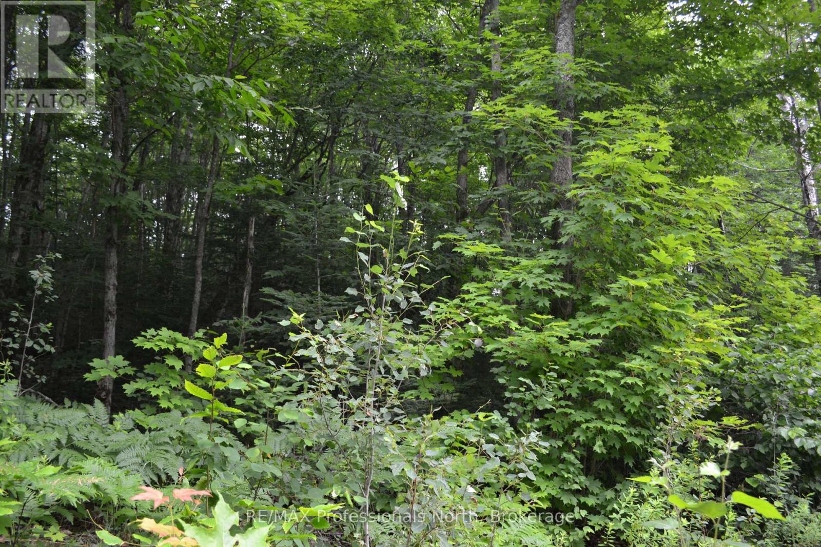 0 Fern Glen Road, Perry, Ontario  P0A 1J0 - Photo 2 - X13085858