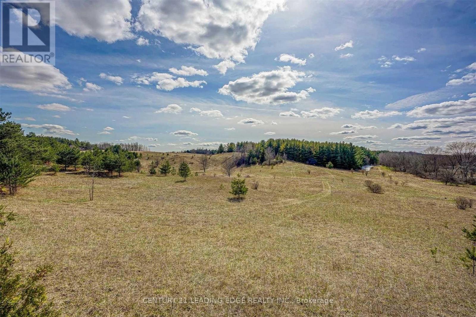 14466 Ninth Line, Whitchurch-Stouffville, Ontario  L4A 7X3 - Photo 13 - N13085848