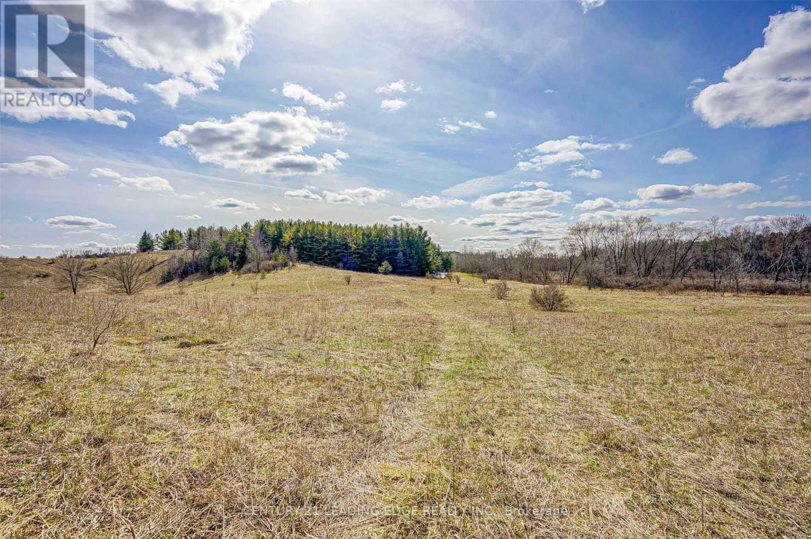 14466 Ninth Line, Whitchurch-Stouffville, Ontario  L4A 7X3 - Photo 14 - N13085848