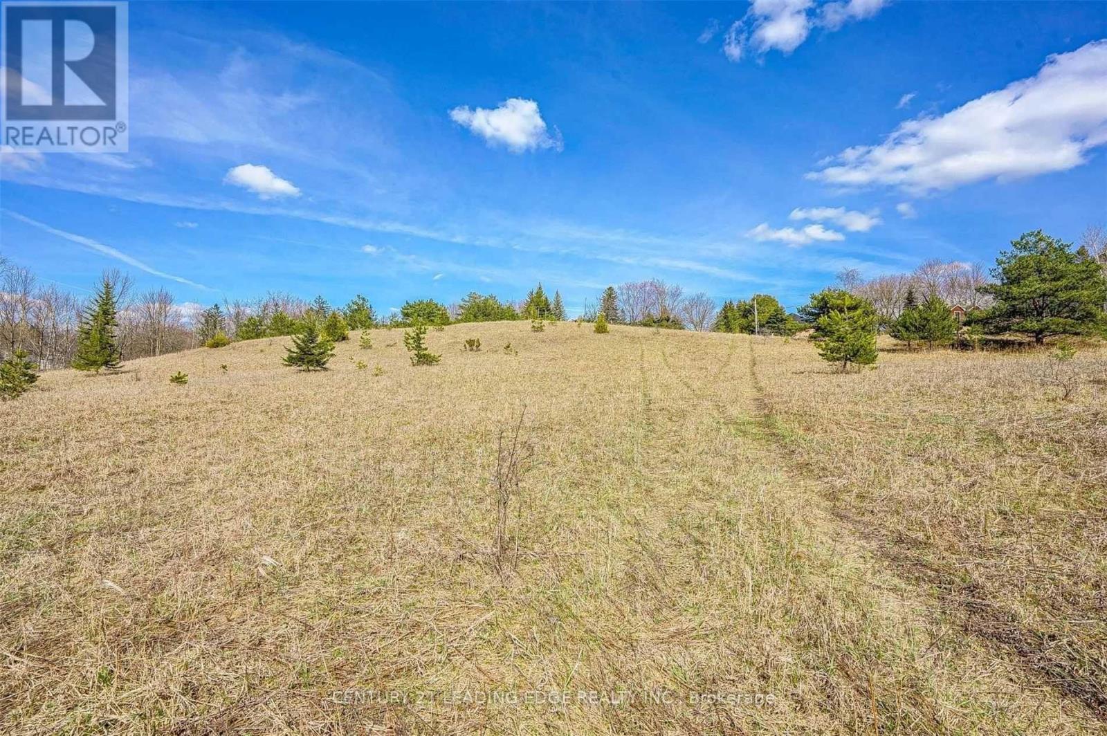 14466 Ninth Line, Whitchurch-Stouffville, Ontario  L4A 7X3 - Photo 15 - N13085848