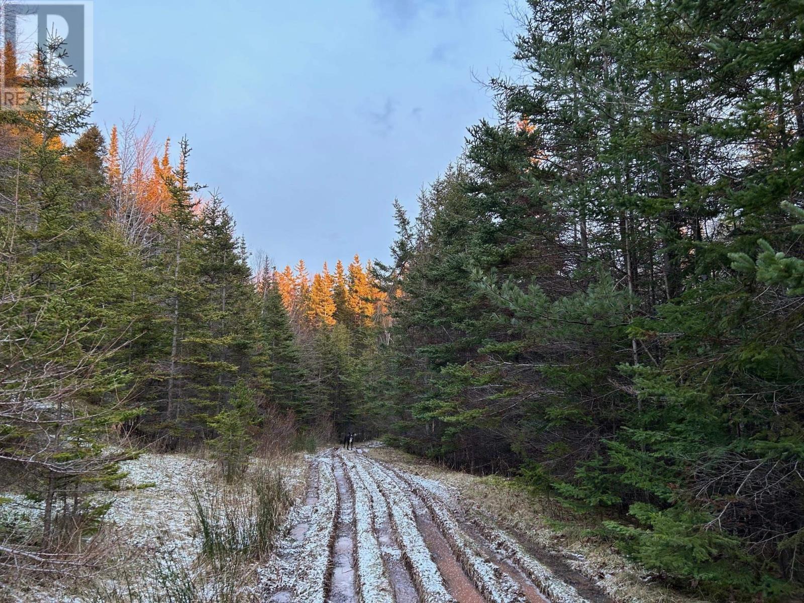 Red Point Road, Red Point, Nova Scotia  B2C 1G4 - Photo 17 - 202609615