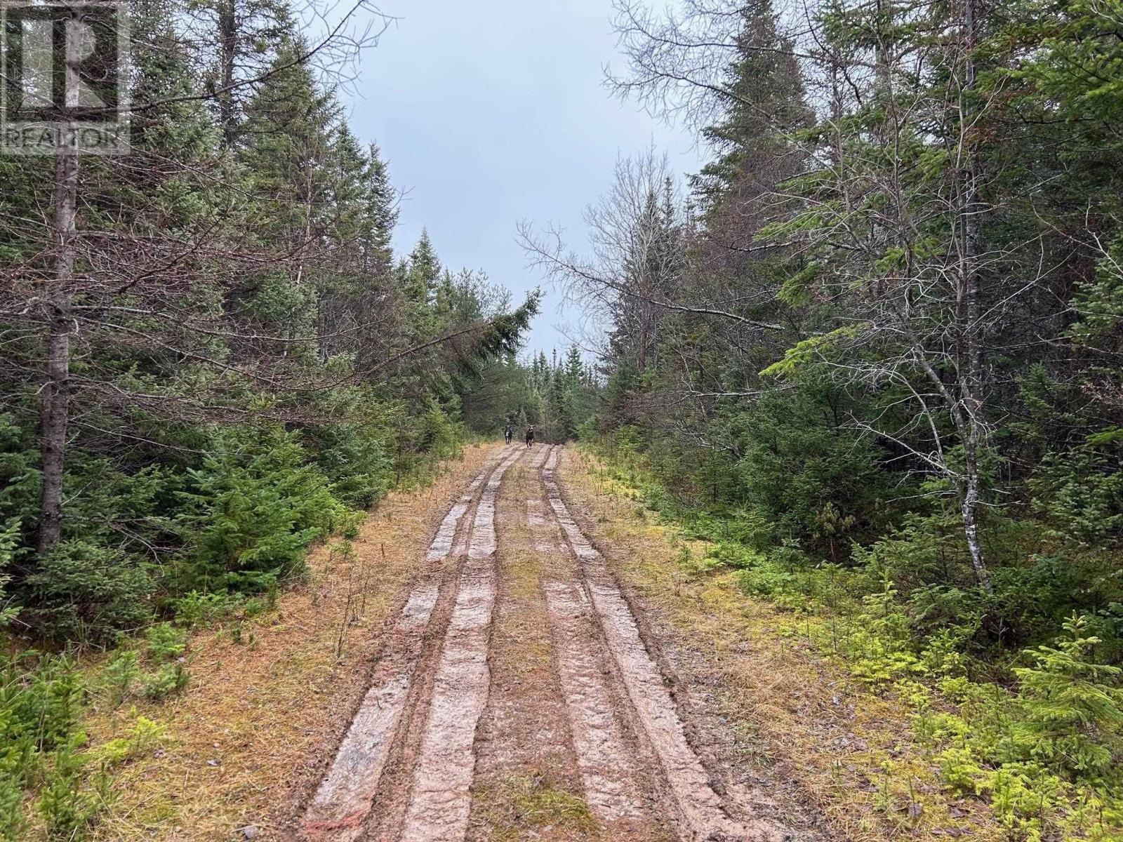Red Point Road, Red Point, Nova Scotia  B2C 1G4 - Photo 13 - 202609615