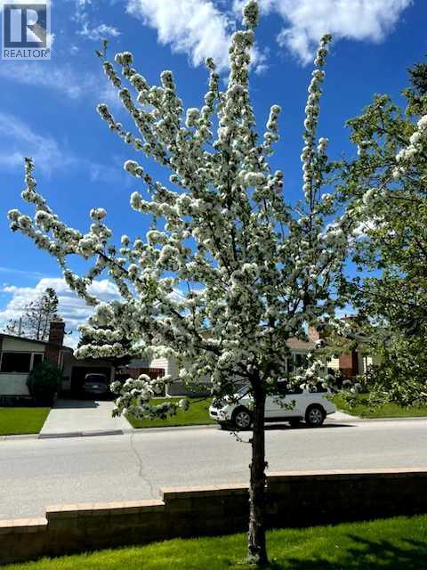 10 Carolina Drive W, Cochrane, Alberta  T4C 1C2 - Photo 48 - A2284084