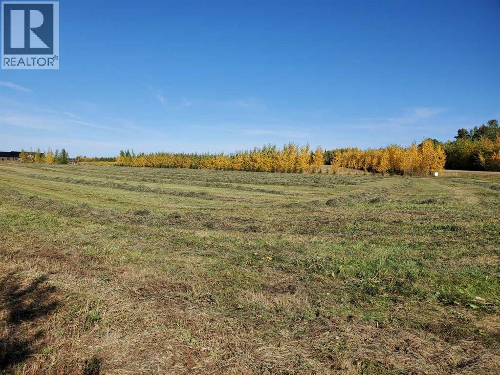 68116 Campsite Rd., Plamondon, Alberta  T0A 2T0 - Photo 2 - A2308193