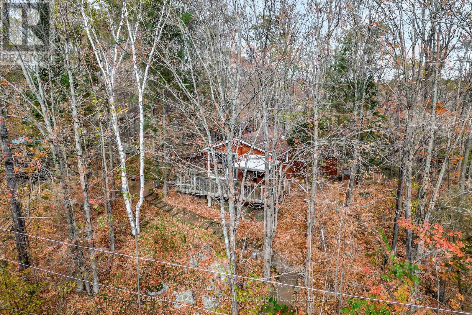 1081 Cinnamon Lane, Minden Hills, Ontario  K0M 2K0 - Photo 5 - X13086212