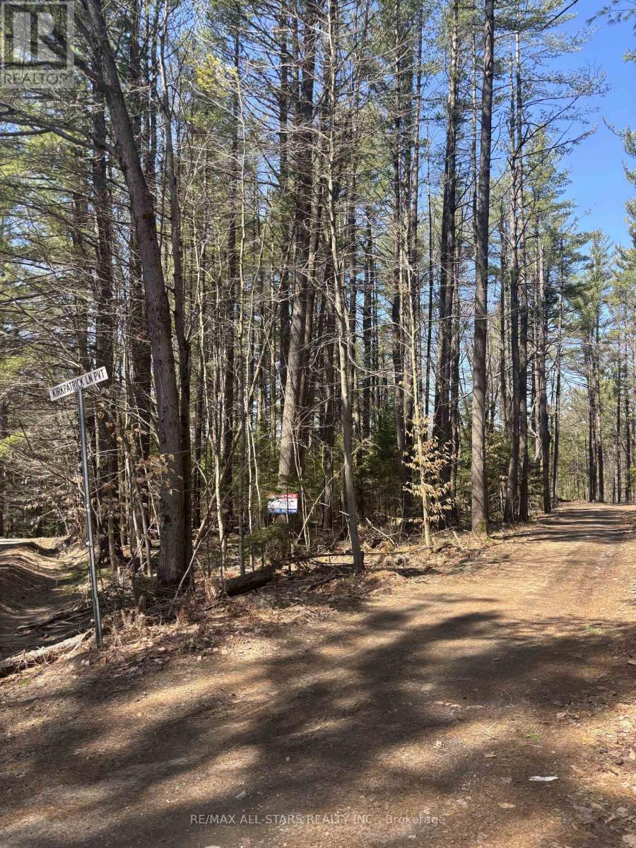0 Kirkpatrick Lane, Bracebridge, Ontario  P1L 1X3 - Photo 10 - X13086130