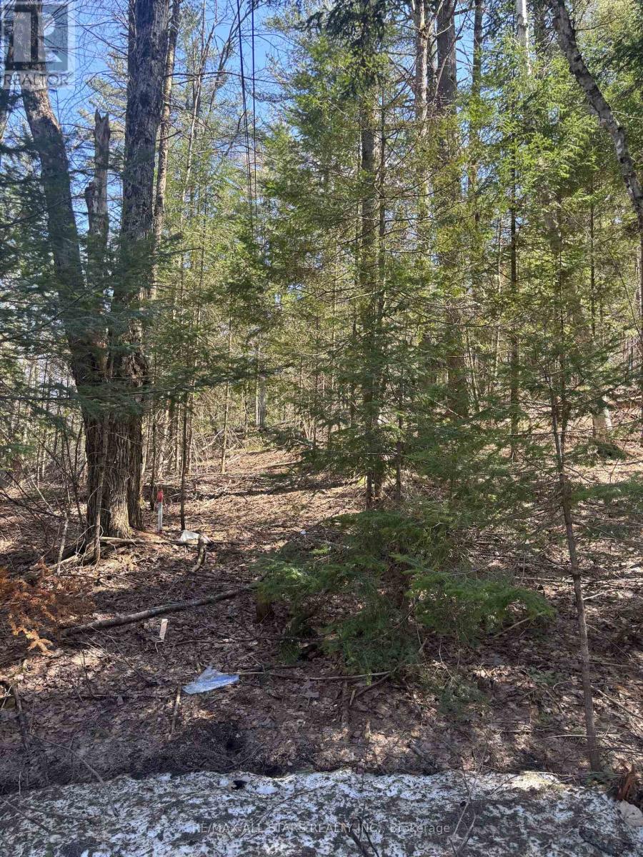 0 Kirkpatrick Lane, Bracebridge, Ontario  P1L 1X3 - Photo 11 - X13086130