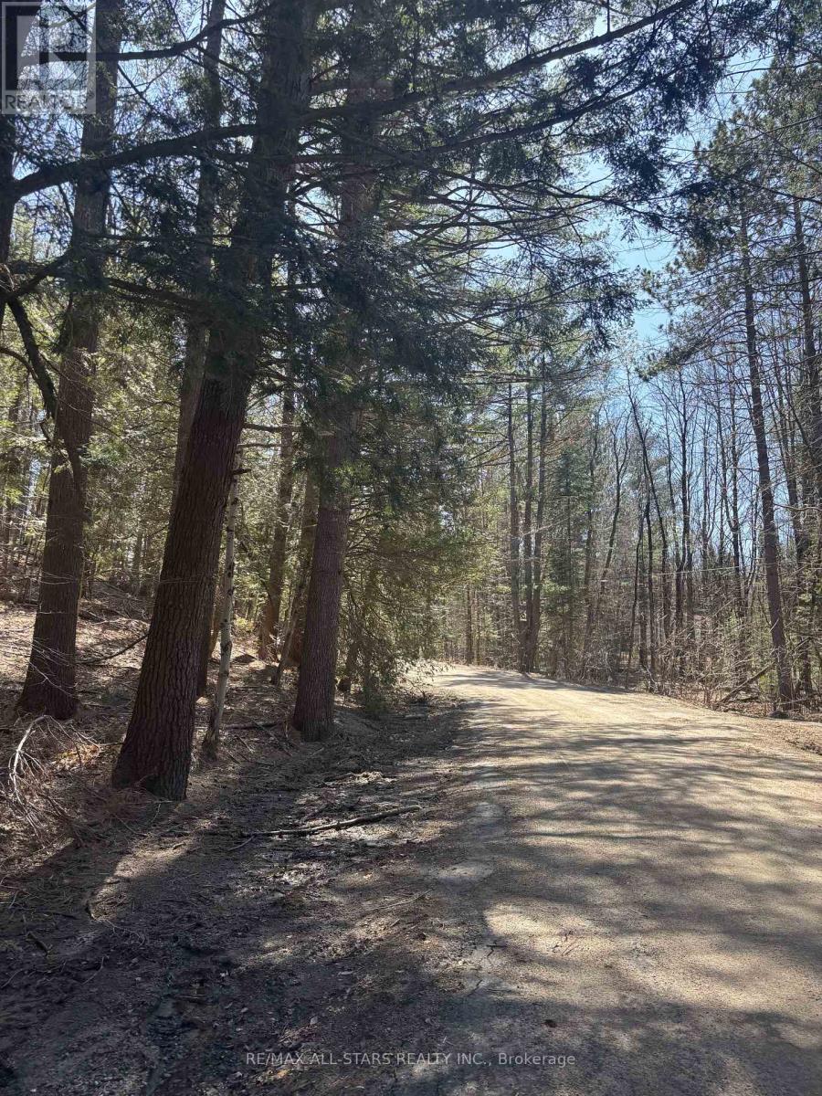 0 Kirkpatrick Lane, Bracebridge, Ontario  P1L 1X3 - Photo 12 - X13086130