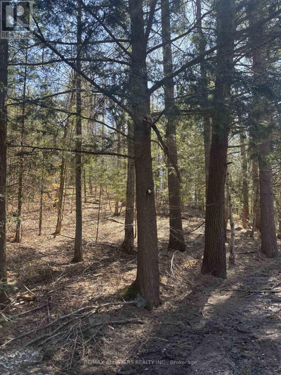 0 Kirkpatrick Lane, Bracebridge, Ontario  P1L 1X3 - Photo 13 - X13086130