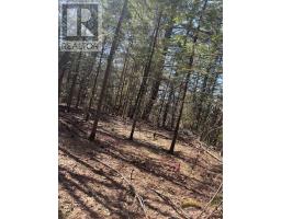 0 KIRKPATRICK LANE, Bracebridge, Ontario