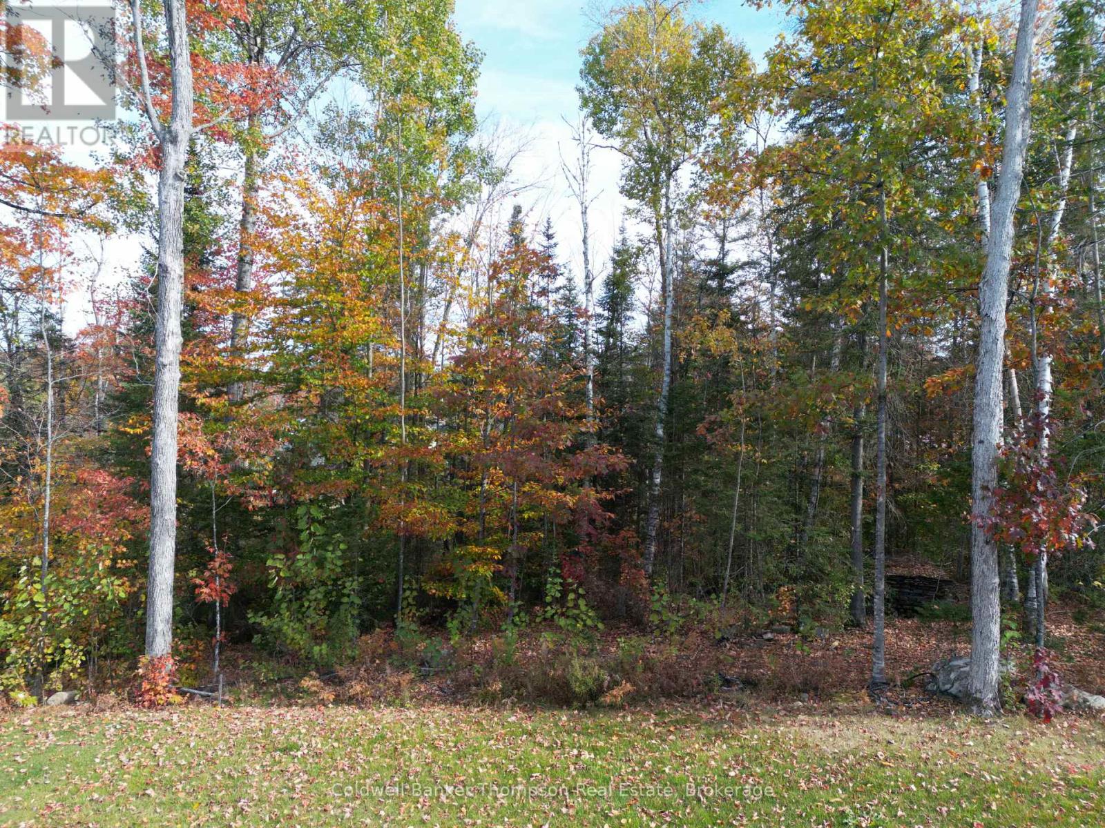 25 Eaglecrest Avenue, Huntsville, Ontario  P1H 0G5 - Photo 43 - X12696952