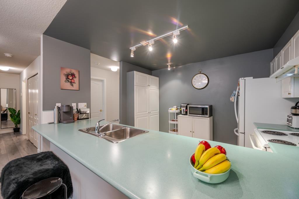 201 15150 108 Avenue, Surrey, British Columbia  V3R 0V1 - Photo 25 - R3118503