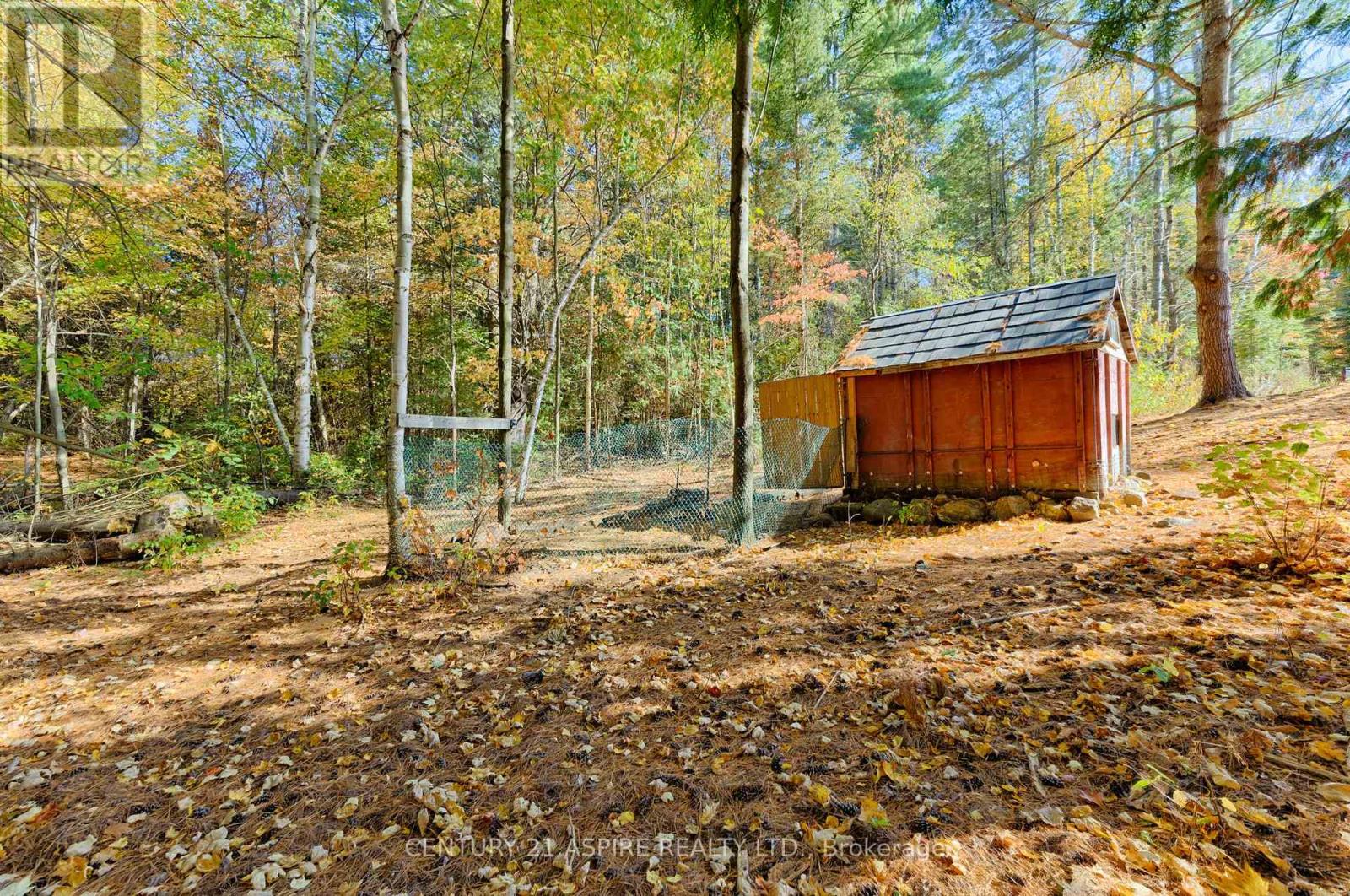 544 Marsh Road, North Algona Wilberforce, Ontario  K8A 6W4 - Photo 45 - X13086346