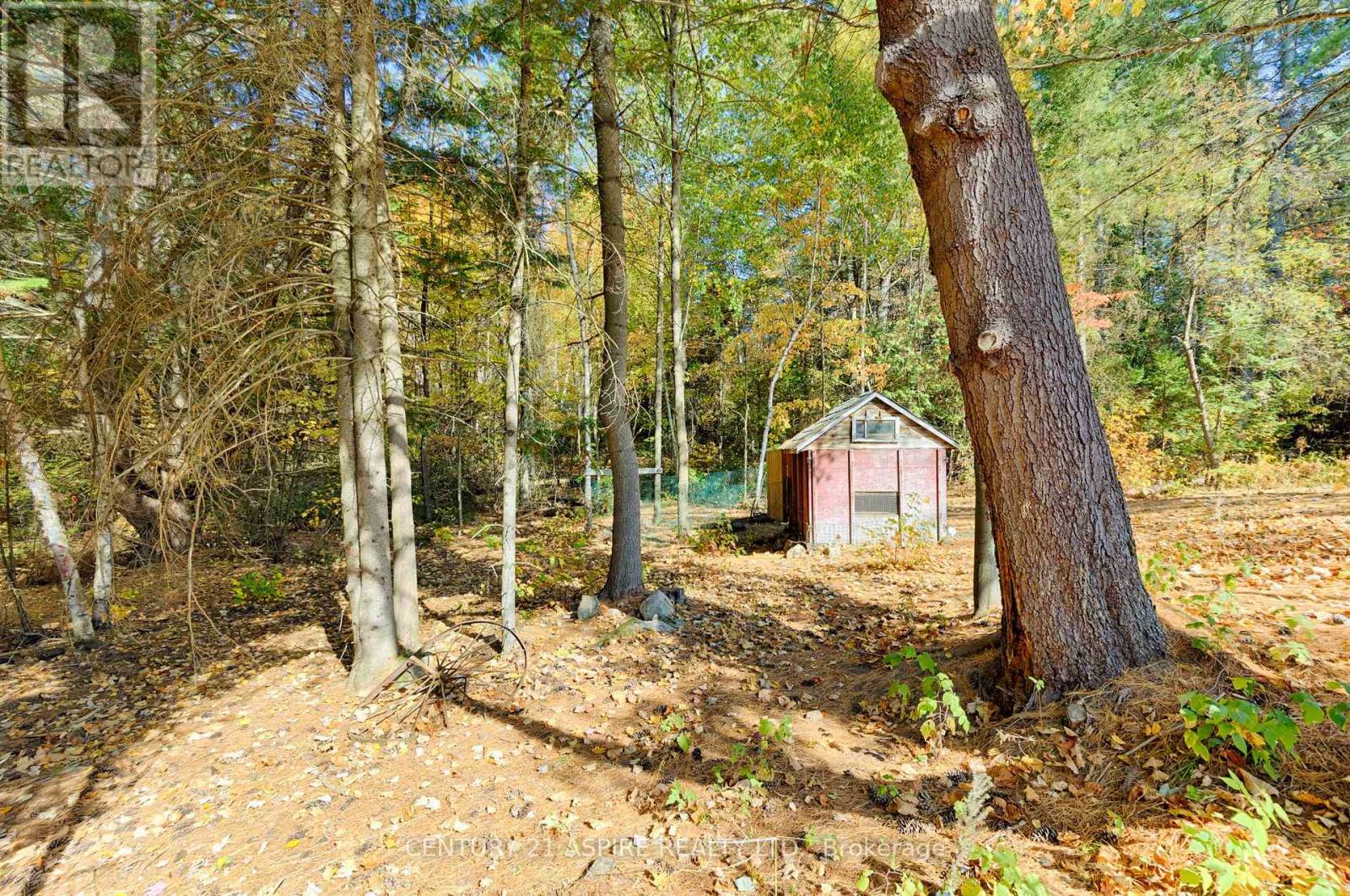 544 Marsh Road, North Algona Wilberforce, Ontario  K8A 6W4 - Photo 50 - X13086346