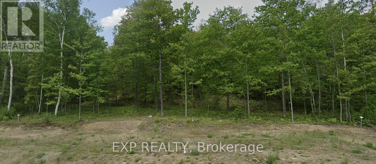 Lot 40 Yantha Crescent, Madawaska Valley, Ontario  K0J 1B0 - Photo 4 - X13086562