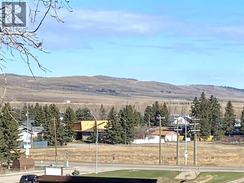 341 1 Avenue SE, Diamond Valley, Alberta  T0L 0H0 - Photo 50 - A2296785