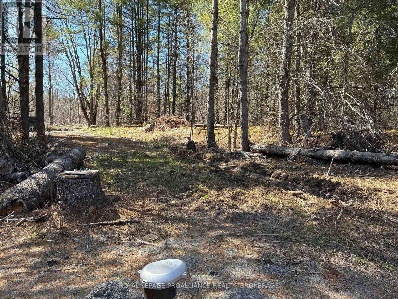 Lot 4 Leveque Road, South Frontenac, Ontario  K0H 2W0 - Photo 3 - X13086008