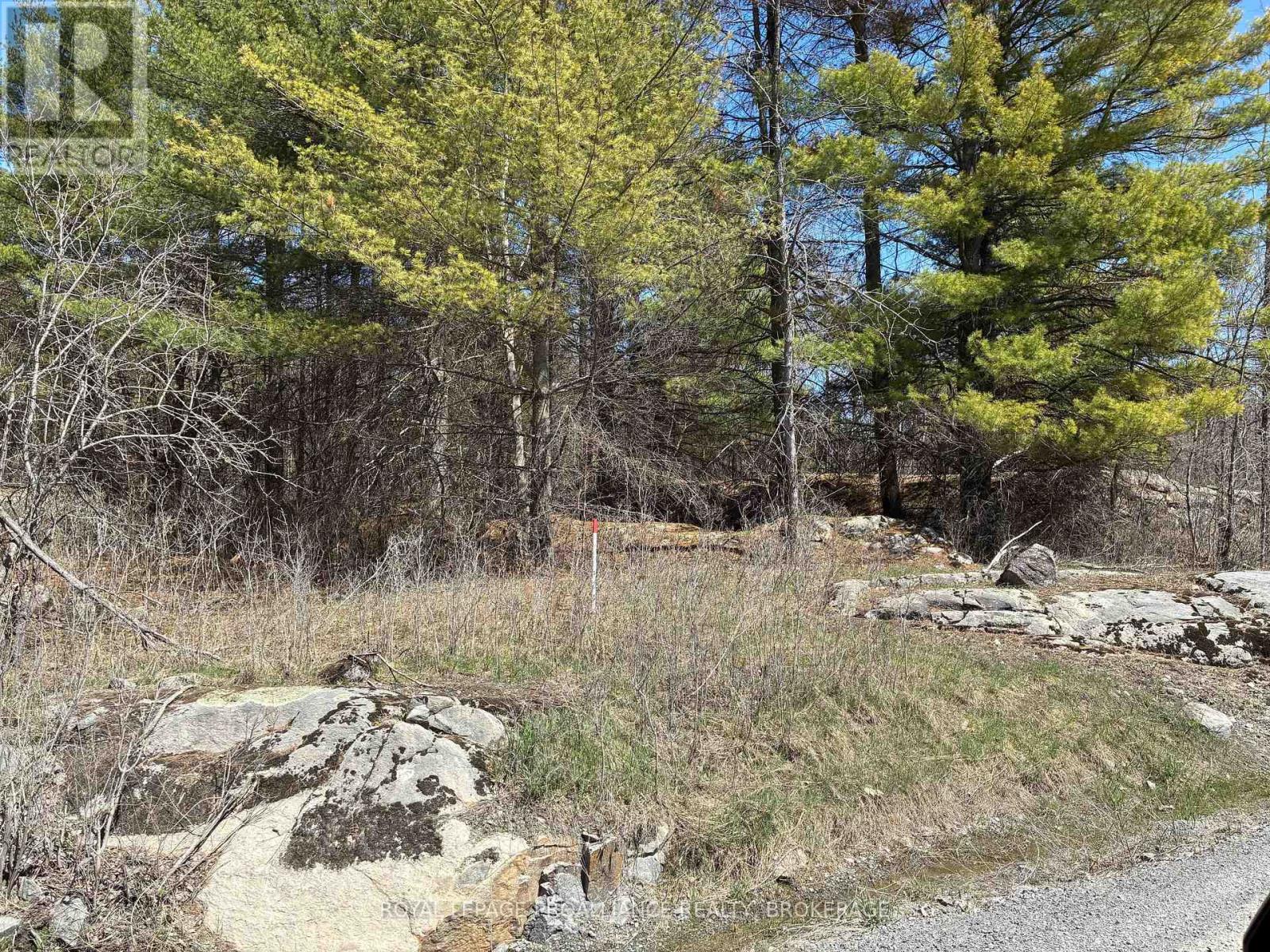 Lot 4 Leveque Road, South Frontenac, Ontario  K0H 2W0 - Photo 2 - X13086008