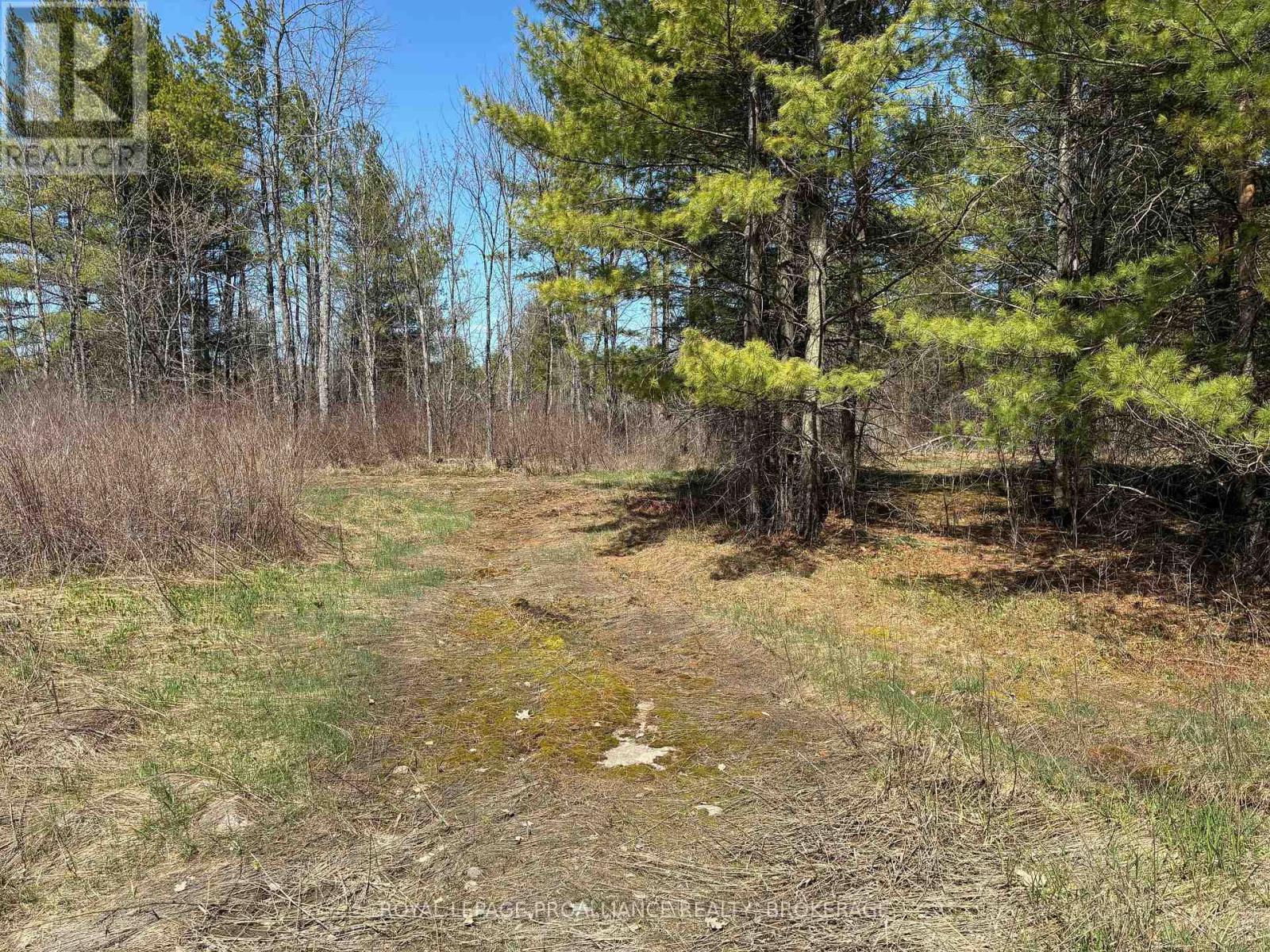 Lot 4 Leveque Road, South Frontenac, Ontario  K0H 2W0 - Photo 4 - X13086008