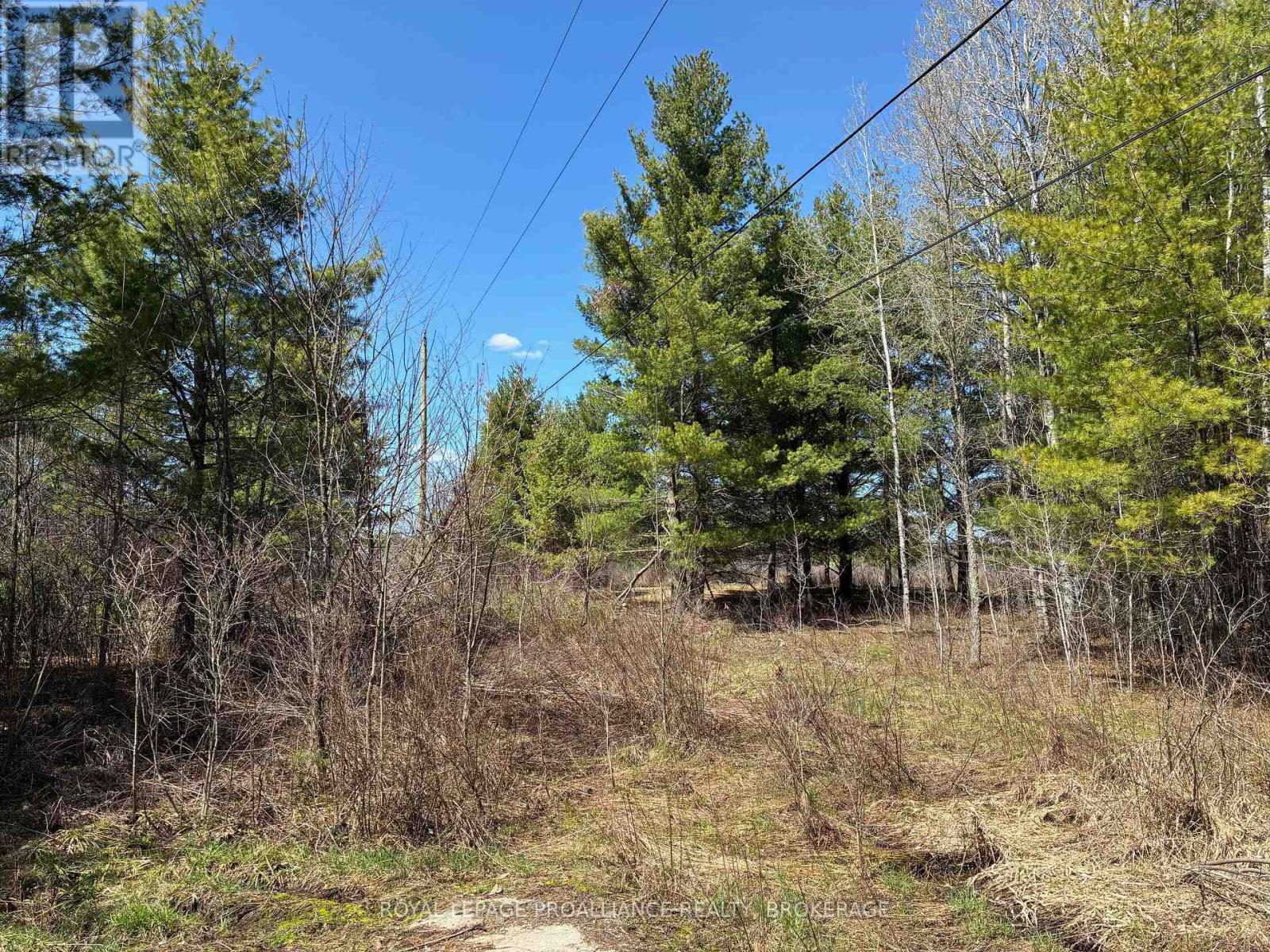 Lot 4 Leveque Road, South Frontenac, Ontario  K0H 2W0 - Photo 7 - X13086008
