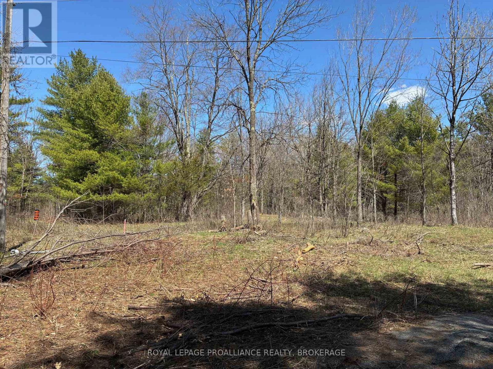 Lot 4 Leveque Road, South Frontenac, Ontario  K0H 2W0 - Photo 6 - X13086008