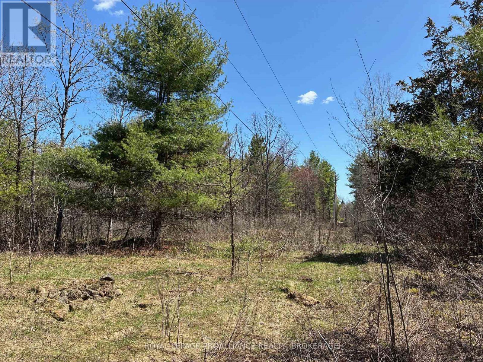 Lot 4 Leveque Road, South Frontenac, Ontario  K0H 2W0 - Photo 5 - X13086008