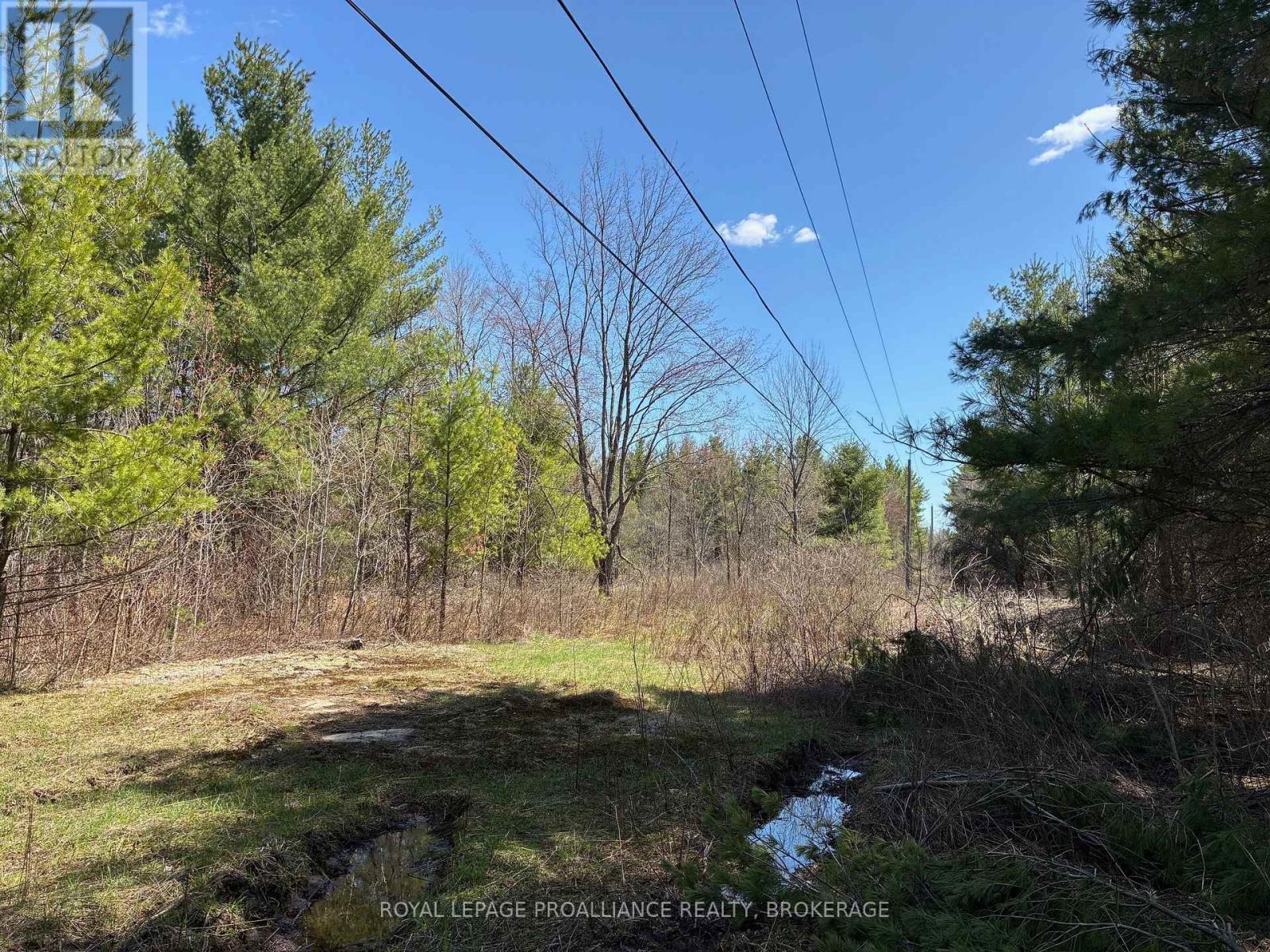 Lot 4 Leveque Road, South Frontenac, Ontario  K0H 2W0 - Photo 8 - X13086008