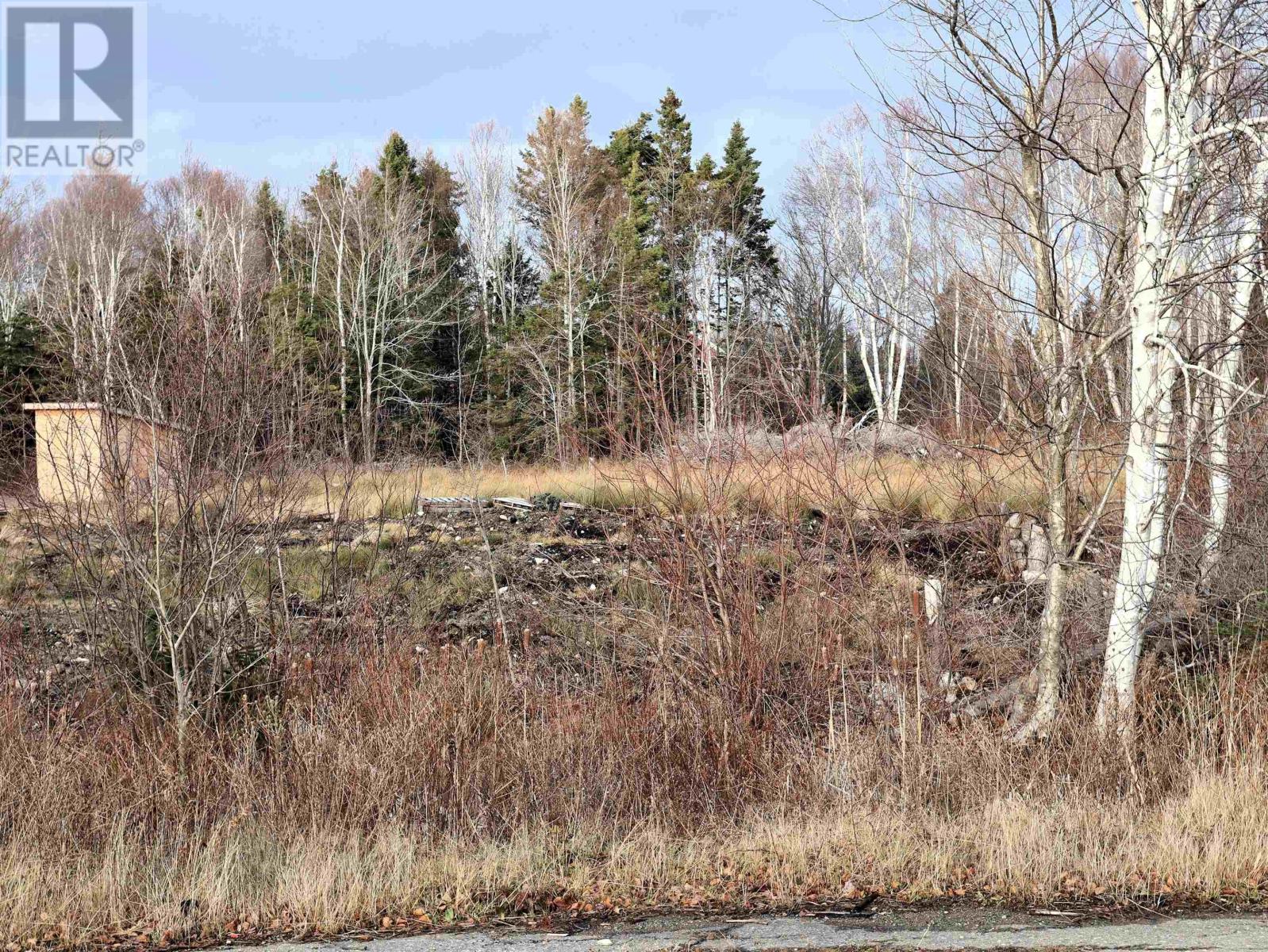 Lot 13 Stewood Drive, Howie Centre, Nova Scotia  B1L 1C6 - Photo 4 - 202601022