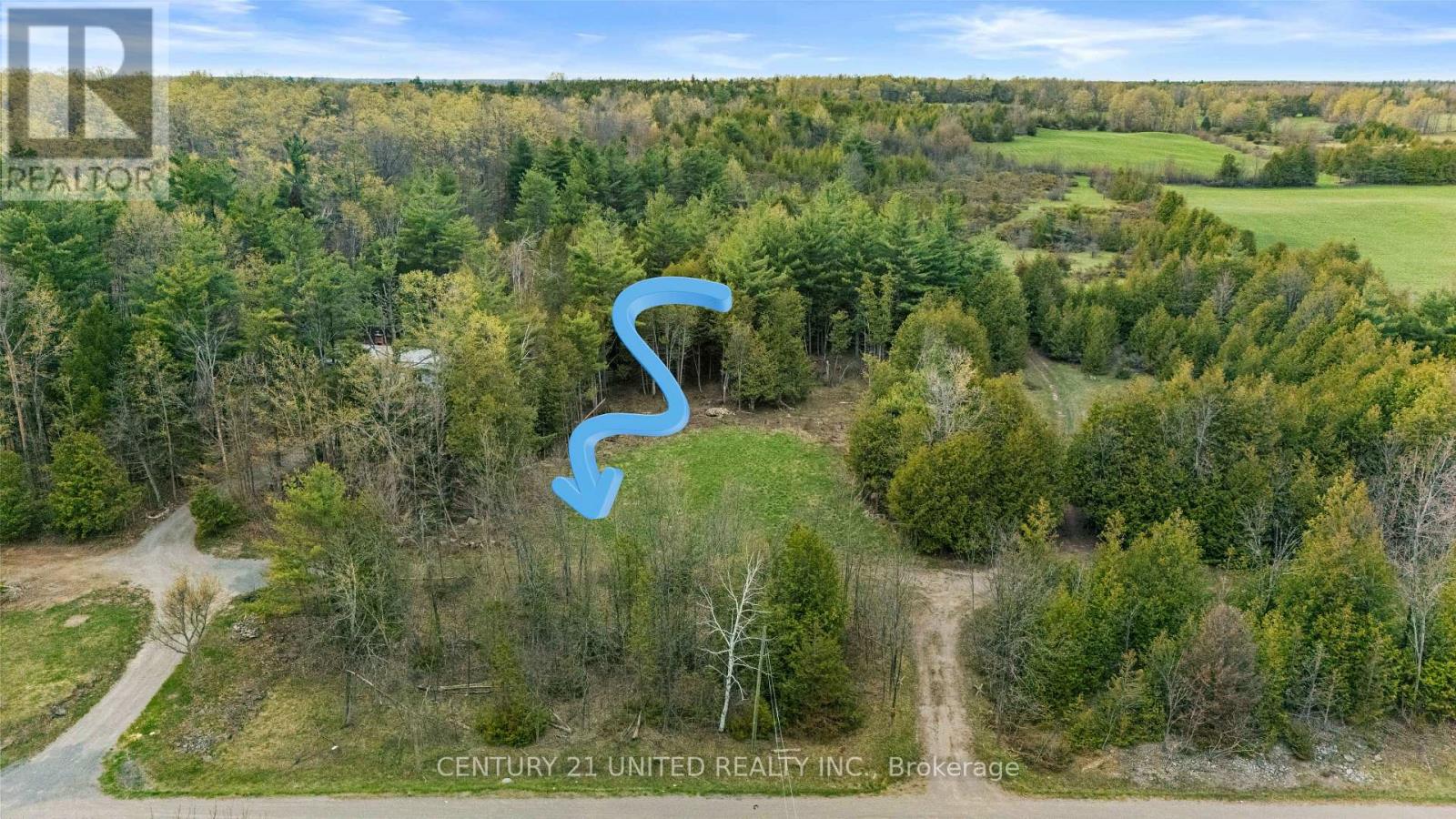 922 County Road 6, Douro-Dummer, Ontario  K0L 2H0 - Photo 6 - X13086664