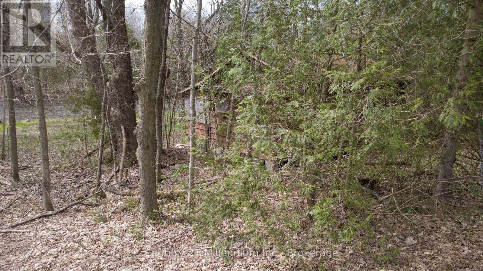 62 Roger's Crescent, South Bruce Peninsula, Ontario  N0H 1P0 - Photo 5 - X13086706