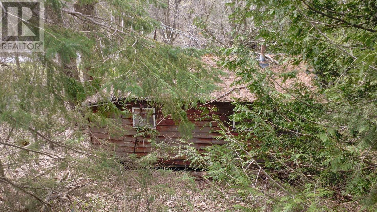 62 Roger's Crescent, South Bruce Peninsula, Ontario  N0H 1P0 - Photo 6 - X13086706