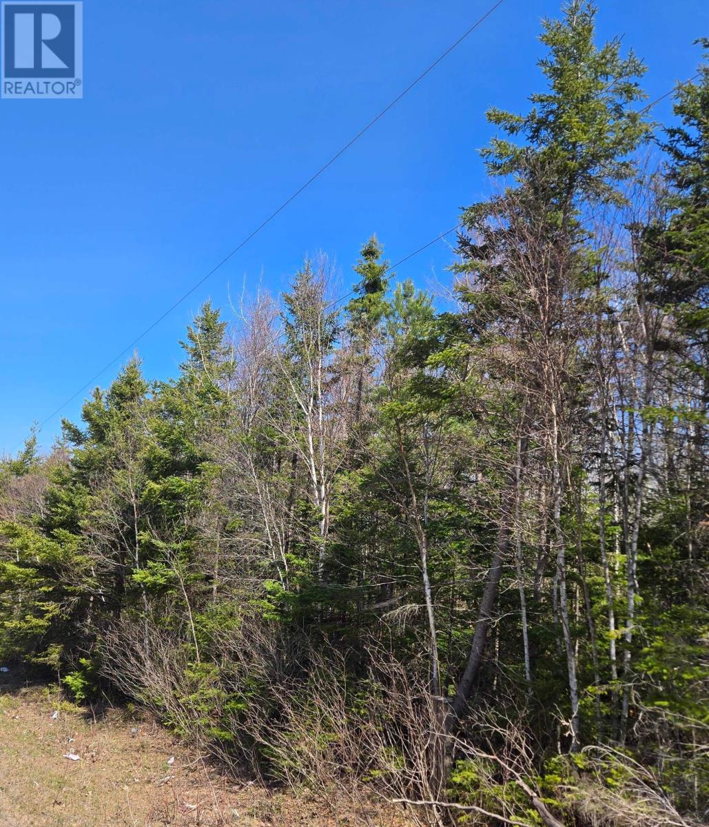 Acreage Strathcona Road, Forest Hill, Prince Edward Island  C0A 2A0 - Photo 2 - 202609764