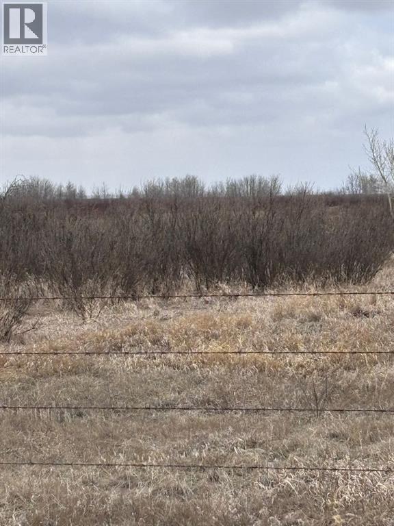 On Twp Rd 322, Consort, Alberta  T0C 1B0 - Photo 10 - A2308097