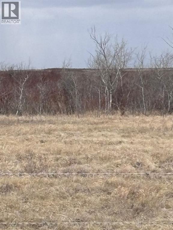 On Twp Rd 322, Consort, Alberta  T0C 1B0 - Photo 12 - A2308097