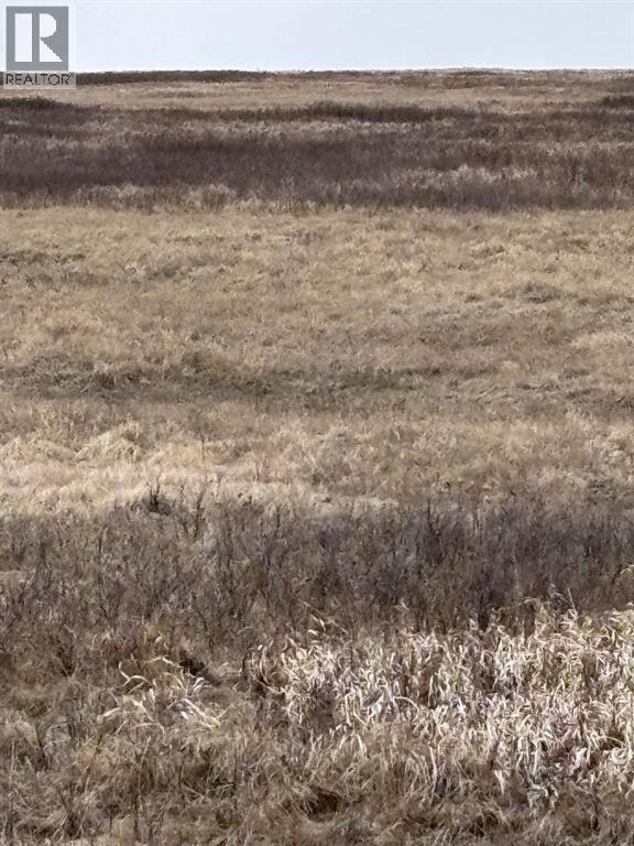 On Twp Rd 322, Consort, Alberta  T0C 1B0 - Photo 13 - A2308097