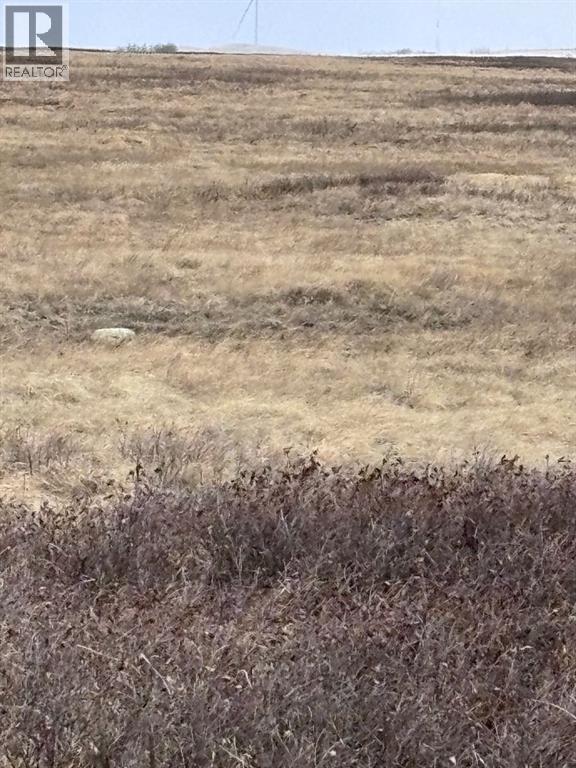 On Twp Rd 322, Consort, Alberta  T0C 1B0 - Photo 14 - A2308097