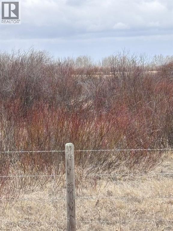 On Twp Rd 322, Consort, Alberta  T0C 1B0 - Photo 11 - A2308097