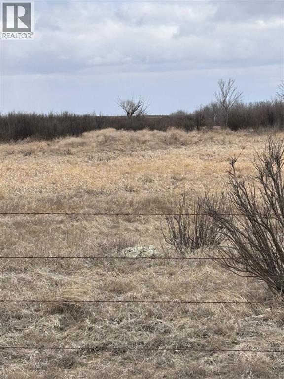 On Twp Rd 322, Consort, Alberta  T0C 1B0 - Photo 9 - A2308097