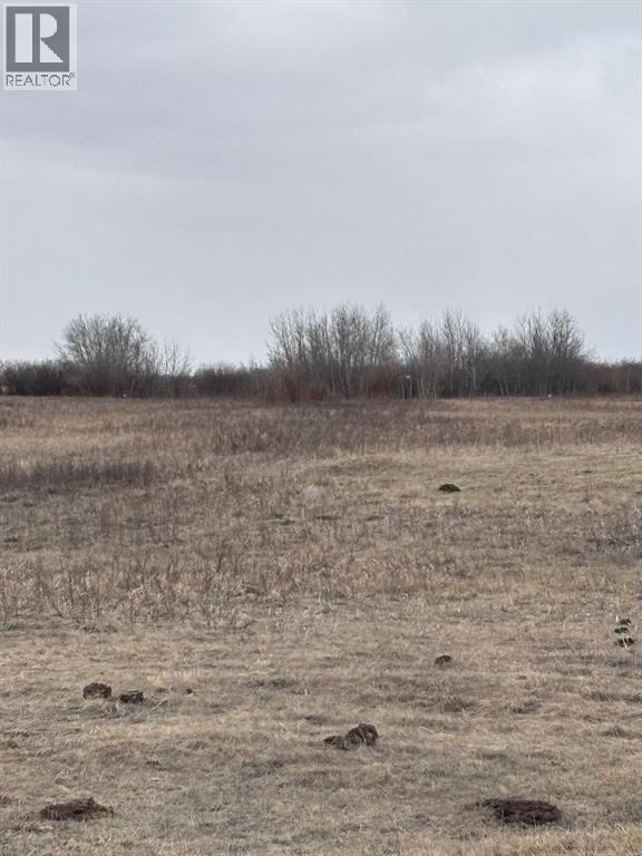 On Hwy 886, Consort, Alberta  T0C 1B0 - Photo 12 - A2308117