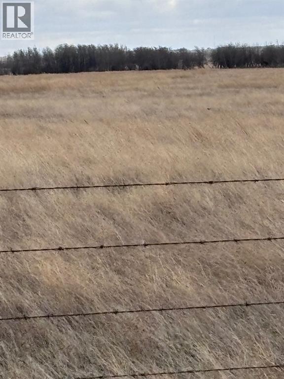 On Hwy 886, Consort, Alberta  T0C 1B0 - Photo 10 - A2308117