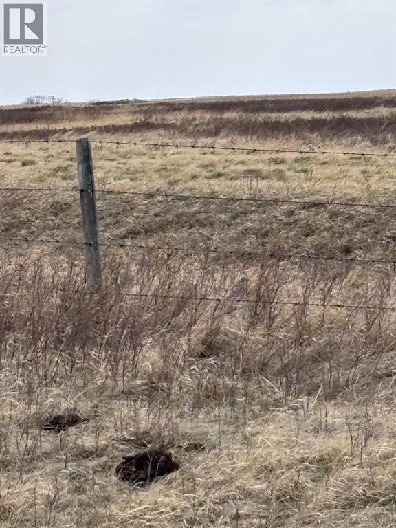 On Hwy 886, Consort, Alberta  T0C 1B0 - Photo 14 - A2308117