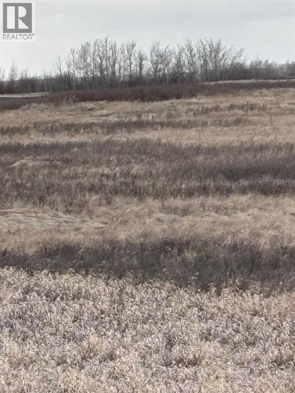 On Hwy 886, Consort, Alberta  T0C 1B0 - Photo 5 - A2308117